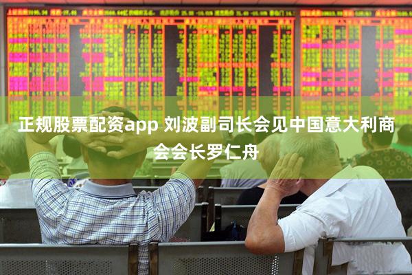 正规股票配资app 刘波副司长会见中国意大利商会会长罗仁舟